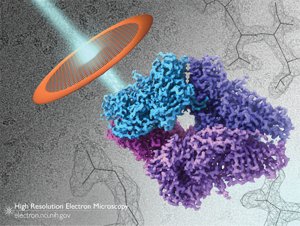 betagalactosidase_cryoem_gallerydl2.png